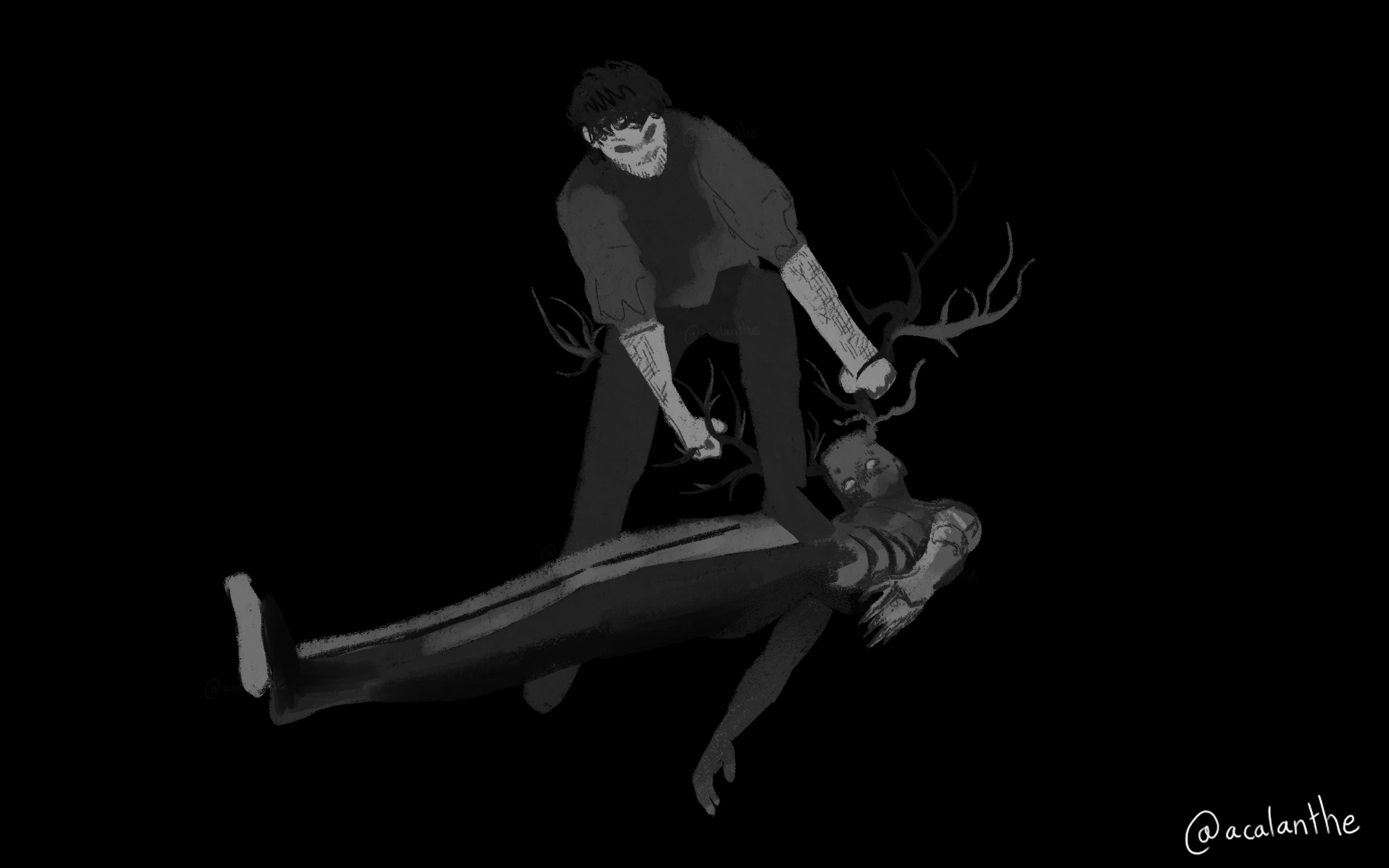 Illustrations project